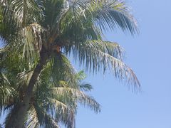 -白沙门生态公园