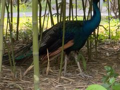 -舜耕山庄四时万和自助餐厅