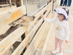 -圣露庄园·露营·烤肉·亲子