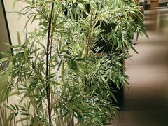-百富源·海鲜辽菜(张士店)