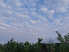 -三圣花乡旅游区