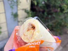 -GANSO元祖食品(诚信大道店)