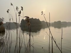 -苏州太湖国家湿地公园