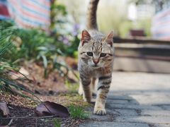 -苏州河梦清园环保主题公园