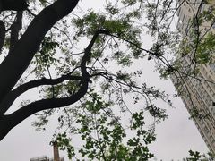 -西安石油大学(雁塔校区)
