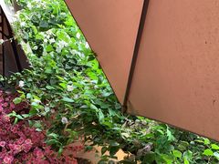 -鹅滋道(甘坑古镇店)