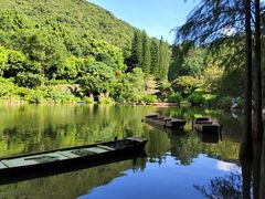 -深圳仙湖植物园