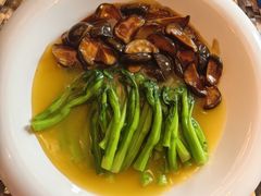 -北京饭店谭家菜