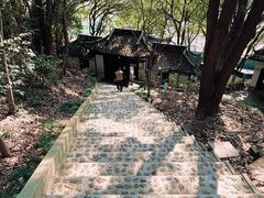 -上海佘山国家森林公园天马山园