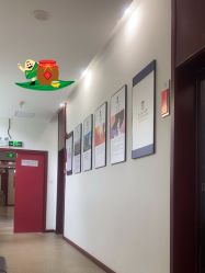 -南京医科大学友谊整形外科医院