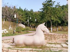 -鹦鹉寺公园