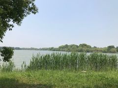 -苏州太湖国家湿地公园