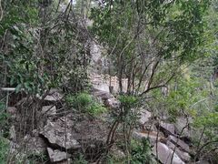 -海南热带雨林国家公园吊罗山景区