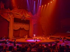 -珠海横琴长隆《卡卡虎奇遇记》