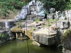 -深圳仙湖植物园