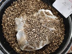秘制盐焗乳鸽-侠成水上农庄(工业大道店)