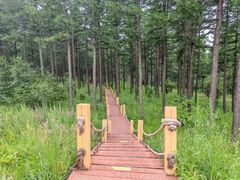 -塞罕坝国家级自然保护区