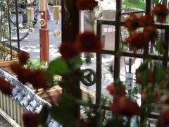 -泡桐树孙二娘私房菜