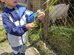 -小鱼草莓采摘园农家乐·小鱼餐厅