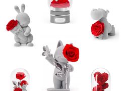 -ROSEONLY诺誓(磐基中心店)