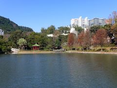 -大埔公路-马料水段香港中文大学(公交站)