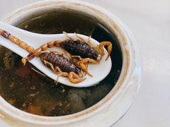 蝎子党参乌鸡汤-国英炖品店(甲子路店)