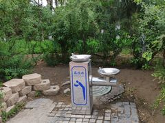 -大兴滨河森林公园