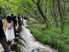 -黄山北站