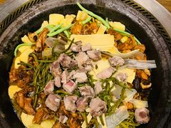 骨架-老大鸡骨架