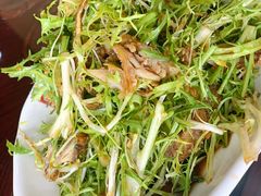 黄花鱼拌苦菊-福润海鲜馆