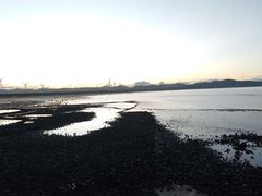 -长江澳风力发电景观区