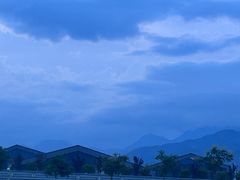 -中原大佛景区