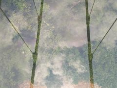 -石燕湖生态旅游景区