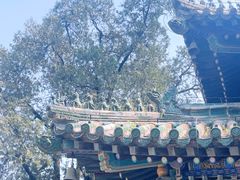 -潭柘寺景区