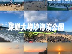 -大梅沙海滨公园