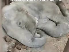 -昆明动物园