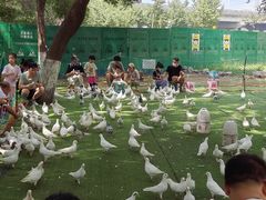 -长白岛森林公园