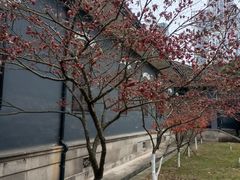 -湖南省立第一师范学校旧址