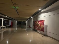 -金逸影城(荟聚IMAX激光店)