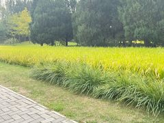 -北坞公园