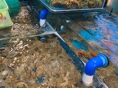 -谊荣海鲜大牌档(石湖店)