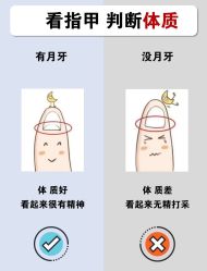-Fundi张玉珊修身堂·indiba·BTL科技瘦身