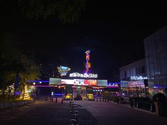 -枫花园汽车电影院(朝阳公园店)