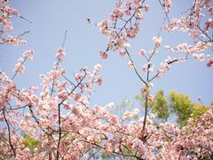 -静安雕塑公园