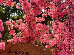 -北京凤凰岭