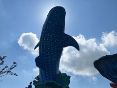-珠海长隆海洋王国