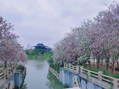-海珠湖公园