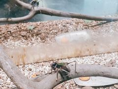 -上海昆虫博物馆