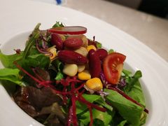 和风蔬菜沙拉-广州瑞士酒店瑞初日本料理·铁板烧