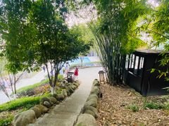 -三江森林温泉度假区